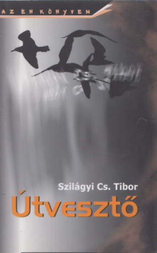 Szilgyi Cs. Tibor - tveszt