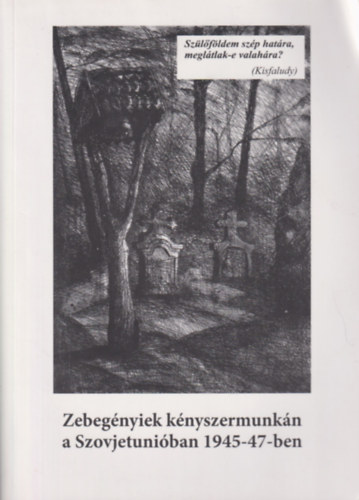 Jungné Hrabanek Ágnes (szerk.); Krebsz Ferencné (szerk.); Paulisineczné Willem Vera (szerk.) - Zebegényiek kényszermunkán a Szovjetunióban 1945-47-ben
