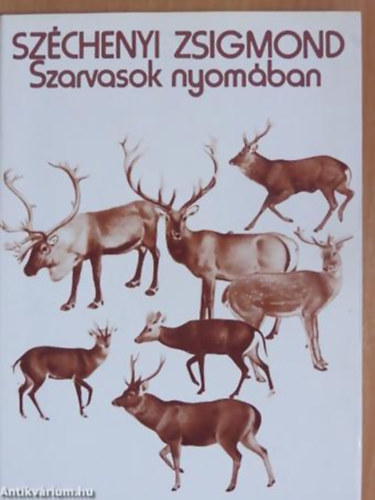 Szchenyi Zsigmond - Szarvasok nyomban