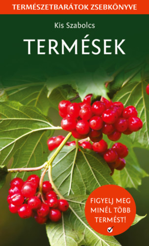 Kis Szabolcs - Term�sek