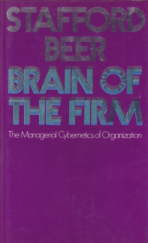 The Brain of the Firm