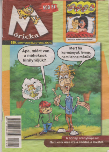 Ismeretlen Szerz - Mricka 689