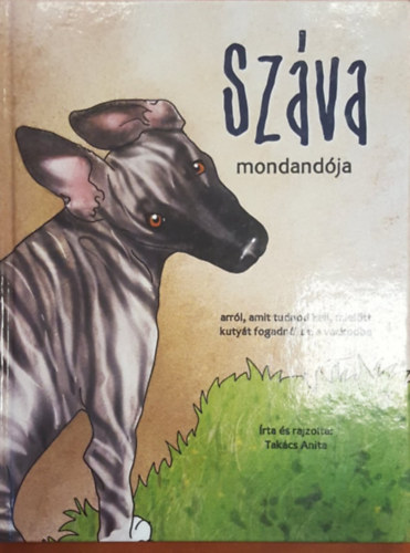 Takcs Anita - Szva mondandja arrl, amit tudnod kell mieltt kutyt fogadnl be a vackodba