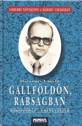 Harsányi László - Gallföldön, rabságban - Hadifogoly-emlékezések