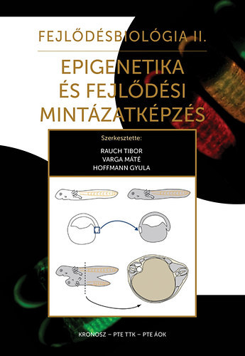 Rauch Tibor (szerk.), Varga Mt (szerk.), Hoffmann Gyula (szerk.) - Fejldsbiolgia II. - Epigenetika s fejldsi mintzatkpzs