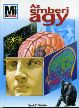 Monika Rssiger - Az emberi agy