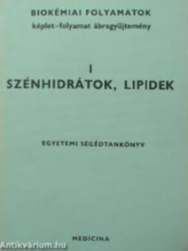 Antoni Ferenc (szerk.) - Biokmiai folyamatok I.: Sznhidrtok, lipidek