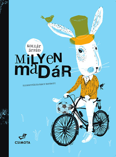 Kollr rpd - Milyen madr