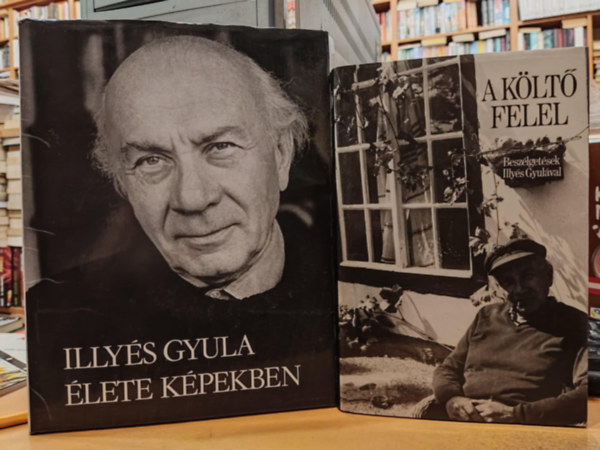 Illys Gyula, Illys Gyuln, Sznt Tibor, Fldes Anna - 2 db A klt felel (Beszlgetsek Illys Gyulval) + Illys Gyula lete kpekben