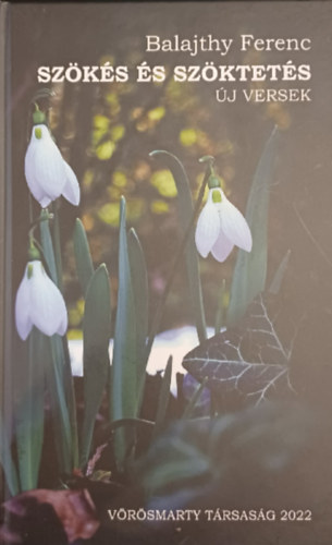 Balajthy Ferenc - Szökés és szöktetés