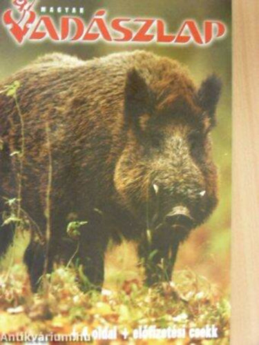 Csekő Sándor - Magyar Vadászlap 2007. november 16. évfolyam 11. szám