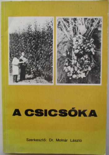 Dr. Molnár László (szerk.) - A csicsóka