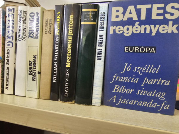 Norman Bates, Herv Bazin, Brantome, David Weiss, William Wharton, Gustave Flaubert, Borisz Paszternak, William Styron, Annemarie Selinko, Cronin - 10db vilgirodalmi ktet, KNYVMENT AJNLAT: Bates regnyek+ Exfelesg+ Kacr hlgyek+ Meztelenl jttem+ Madrka+ Bovaryn+ Zsivago doktor+ Sophie vlaszt+ Dsire+ A hattycmeres kastly
