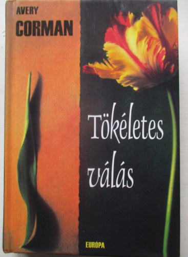Avery Corman - Tökéletes válás