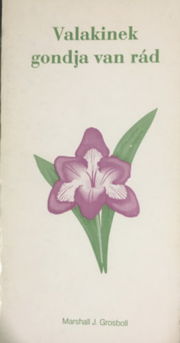 Marshall J. Grosboll - Valakinek gondja van rd