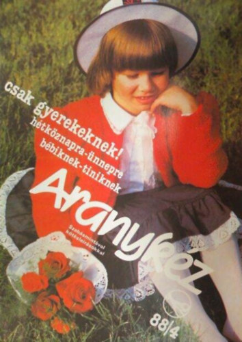 Ismeretlen - Aranykéz 88/4