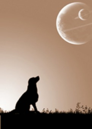 Veress Istv�n - A csahol� csoda