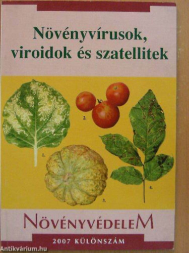 Salamon P�l - N�v�nyv�rusok, viroidok �s szatellitek