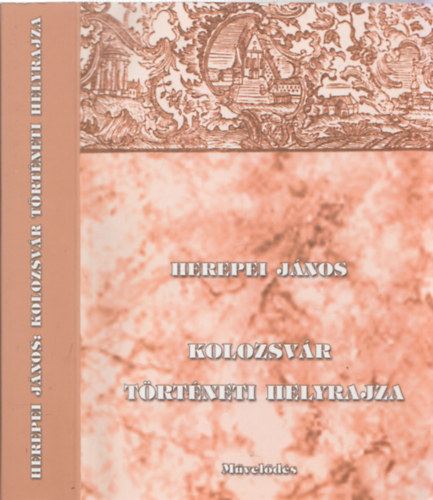 Herepei Jnos - Kolozsvr trtneti helyrajza