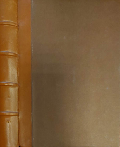 Czegldy Sndor (szerk.) - Jzus lete a ngy evangelista eladsban