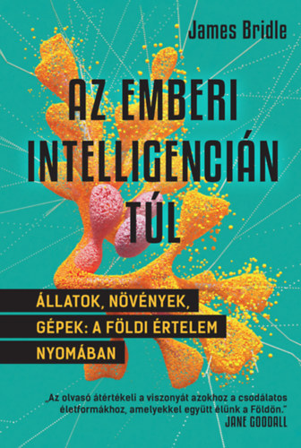 James Bridle - Az emberi intelligencin tl