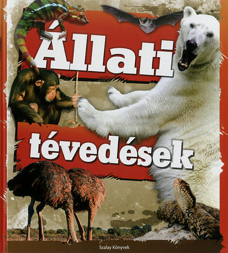 llati tvedsek