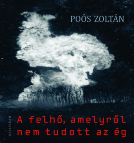 Po�s Zolt�n - A felh�, amelyr�l nem tudott az �g - Dedik�lt