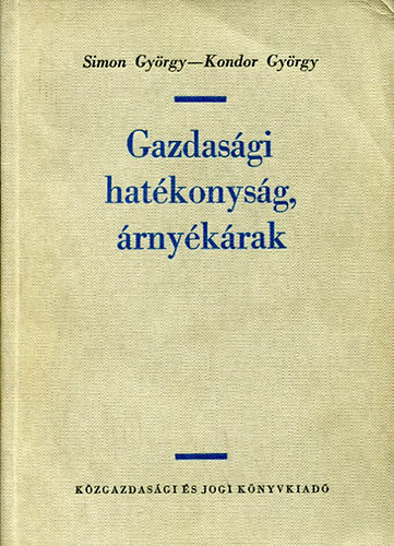 Simon Gyrgy, Kondor Gyrgy - Gazdasgi hatkonysg, rnykrak