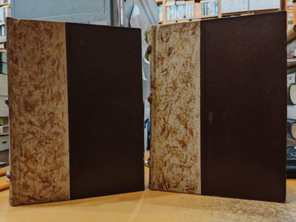 Roger Martin Du Gard - A Thibault csal�d I-II.