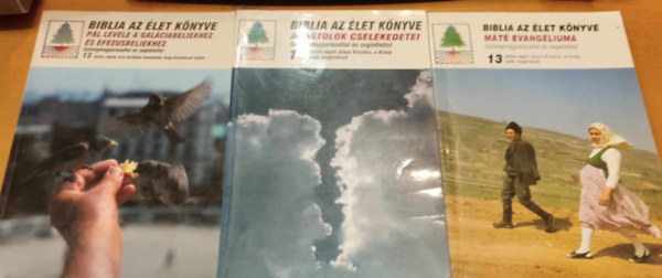 Magyar Testvri Brtntrsasg - 3 db Biblia az let Knyve: Mt evangliuma (1997); Apostolok cselekedetei (1998); Pl levele a Galciabeliekhez s Efezusbeliekhez (2001)