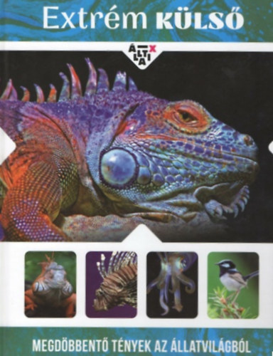 llati X -  extrm kls