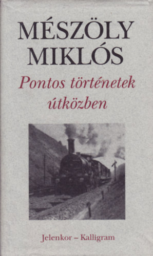 Mszly Mikls - Pontos trtnetek tkzben
