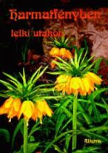 Dr. Mr va - Harmatfnyben - lelki utakon