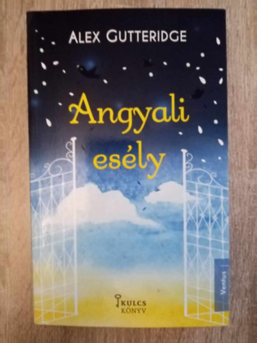 Alex Gutteridge, Tth Emese szerk., Nmeth Dorottya (ford.) - Angyali esly (Last Chance Angel) - Nmeth Dorottya fordtsban