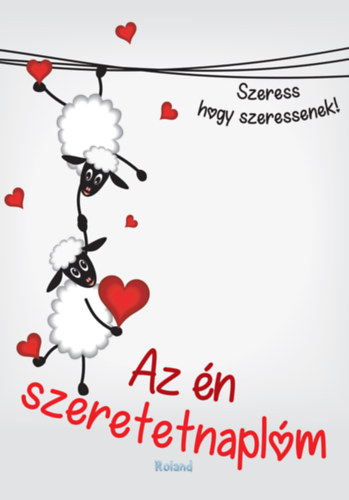 Az n szeretetnaplm (baris bort)