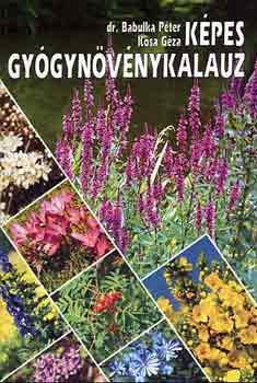 Dr. Babulka Péter-Kósa Géza - Képes gyógynövénykalauz