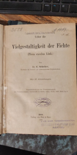 Dr. C. Schrter - A lucfeny sokflesgrl