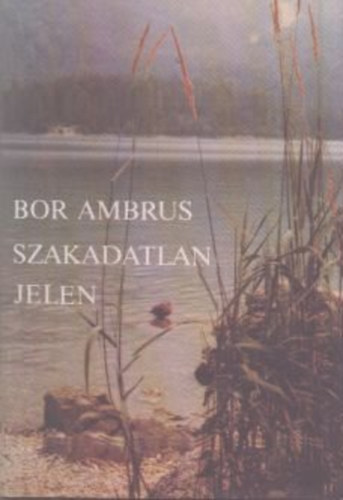 Bor Ambrus - Szakadatlan jelen (dedikált)