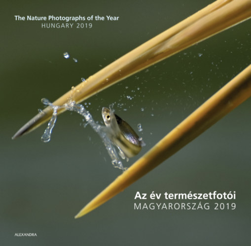 Az v termszetfoti - Magyarorszg 2019