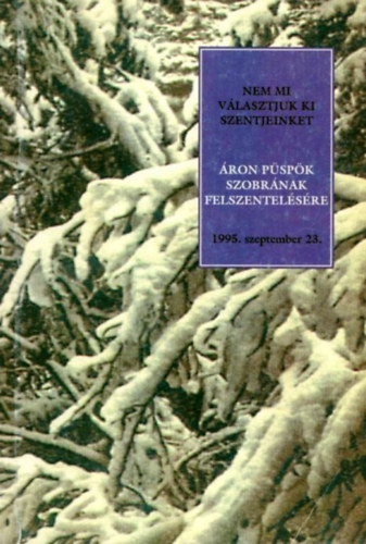 Lrincz Gyrgy (szerk.), Zepeczaner Jen (szerk.) - Nem mi vlasztjuk ki szentjeinket - ron pspk szobrnak felszentelsre, 1995. szeptember 23.