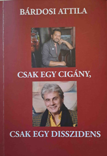 Bárdosi Attila - Csak egy cigány, csak egy disszidens