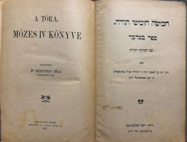 Dr. Bernstein Bla - A Tra - Mzes IV. knyve 1902.