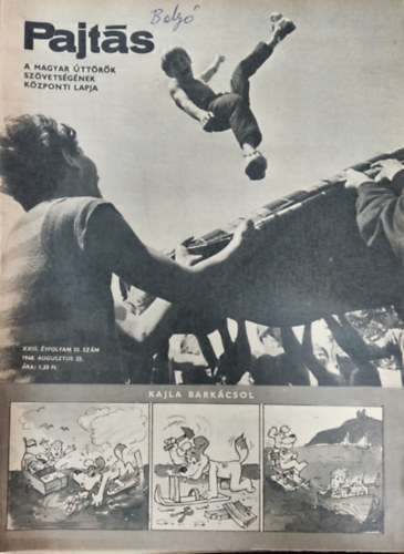 Vasvri Ferenc (szerk.) - Pajts XXIII. vfolyam 33. szm (1968)