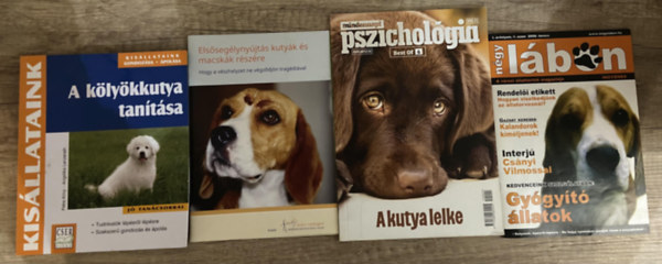 Petra Krivy, Angelika Lanzerath - ---