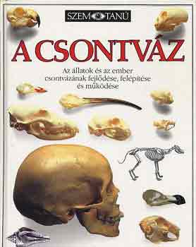 Steve Parker - A csontvz (Szemtan)