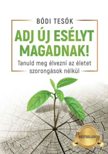 Bdi Bence, Bdi Hunor, Bdi Megyer - Adj j eslyt magadnak!