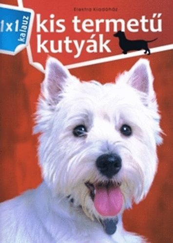 Bernth Istvn - Kis termet kutyk