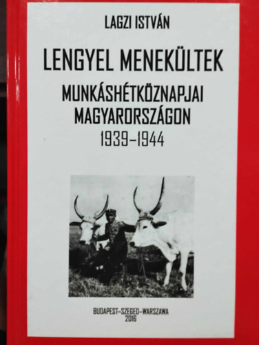 Lagzi Istvn - Lengyel menekltek  munkshtkznapjai Magyarorszgon 1939-1944