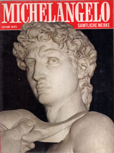 Luciano Berti - Michelangelo