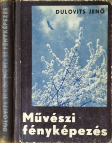Dulovits Jen - Mvszi fnykpezs